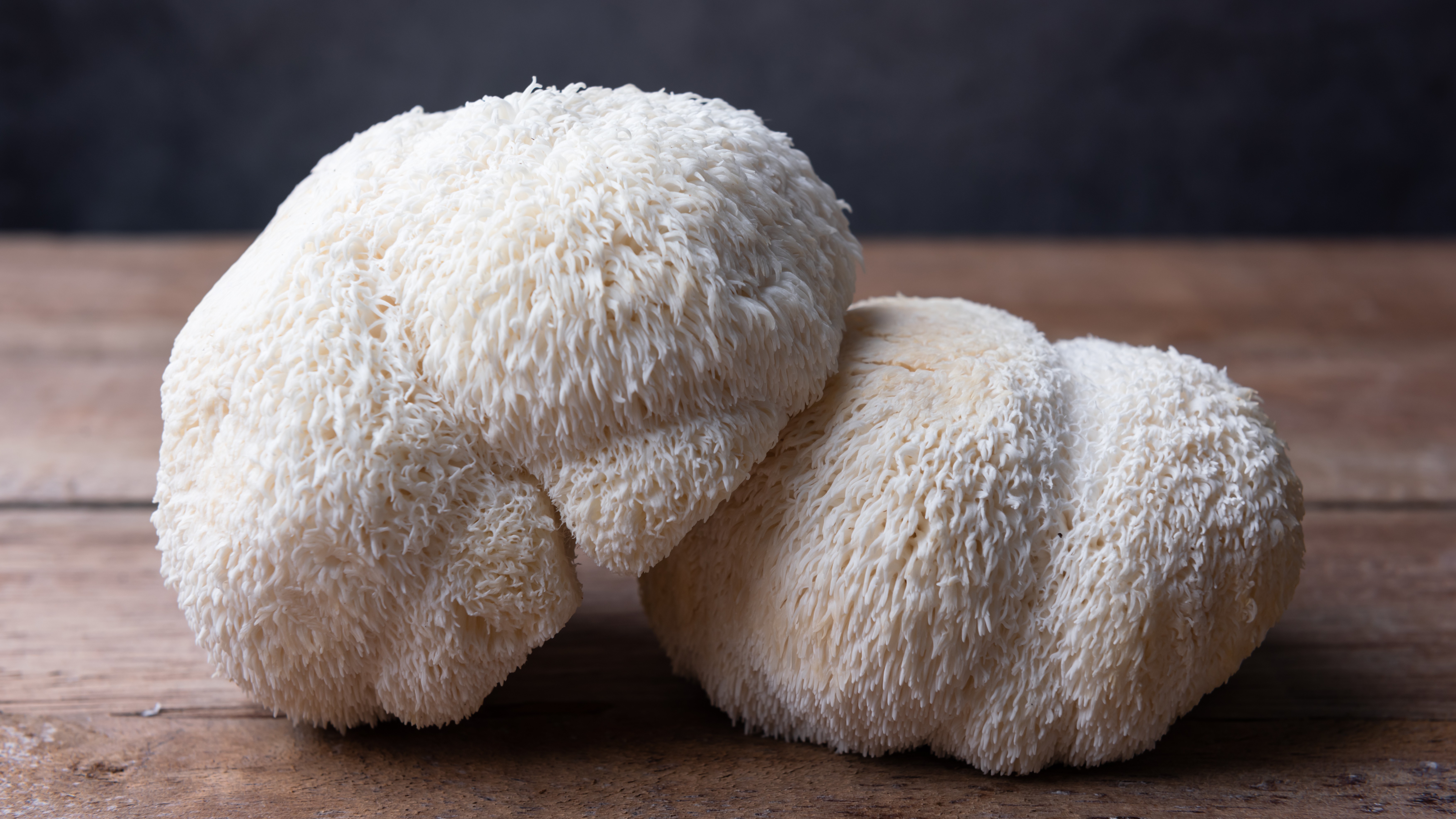 Two Lion's Mane variety mushrooms posed on a wooden table.