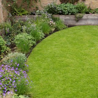 Garden with lawn encircled by plants in garden border