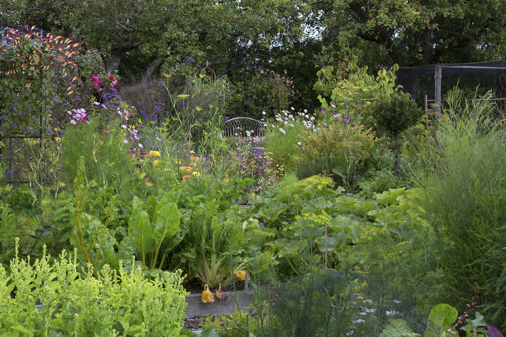 planning a kitchen garden with pretty flowers