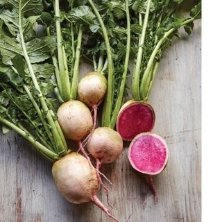 watermelon radish