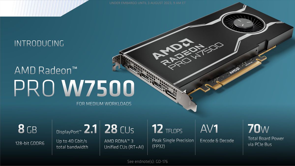AMD Radeon PRO W7600 &amp; W7500