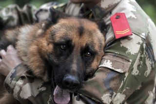 Veteran Jiang Yutao hugs his Kunming military dog named Black Panther on the last day as a soldier on Nov. 14, 2013 in Kunming, Yunnan Province of China. 