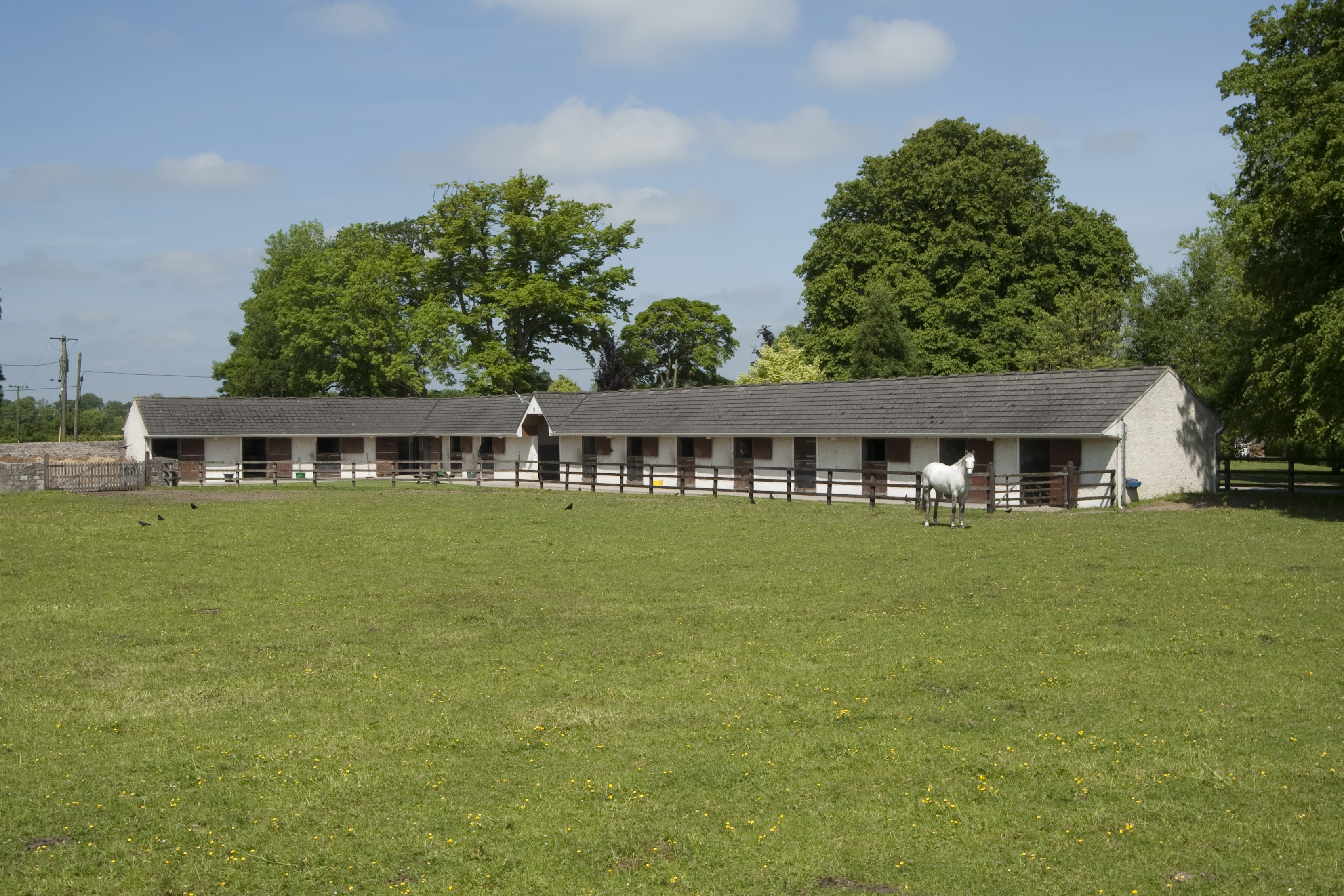 Dollanstown-21.jpg