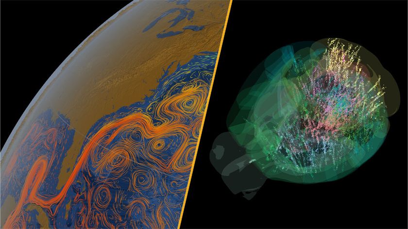 The AMOC current and a mouse brain.