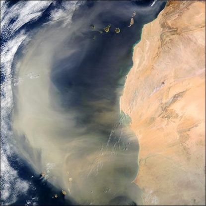 A large, swirling mass of dust blowing from the Western Sahara into the Atlantic Ocean on Sept. 4, 2005. Dust from Africa helped form Bermuda's red soil.