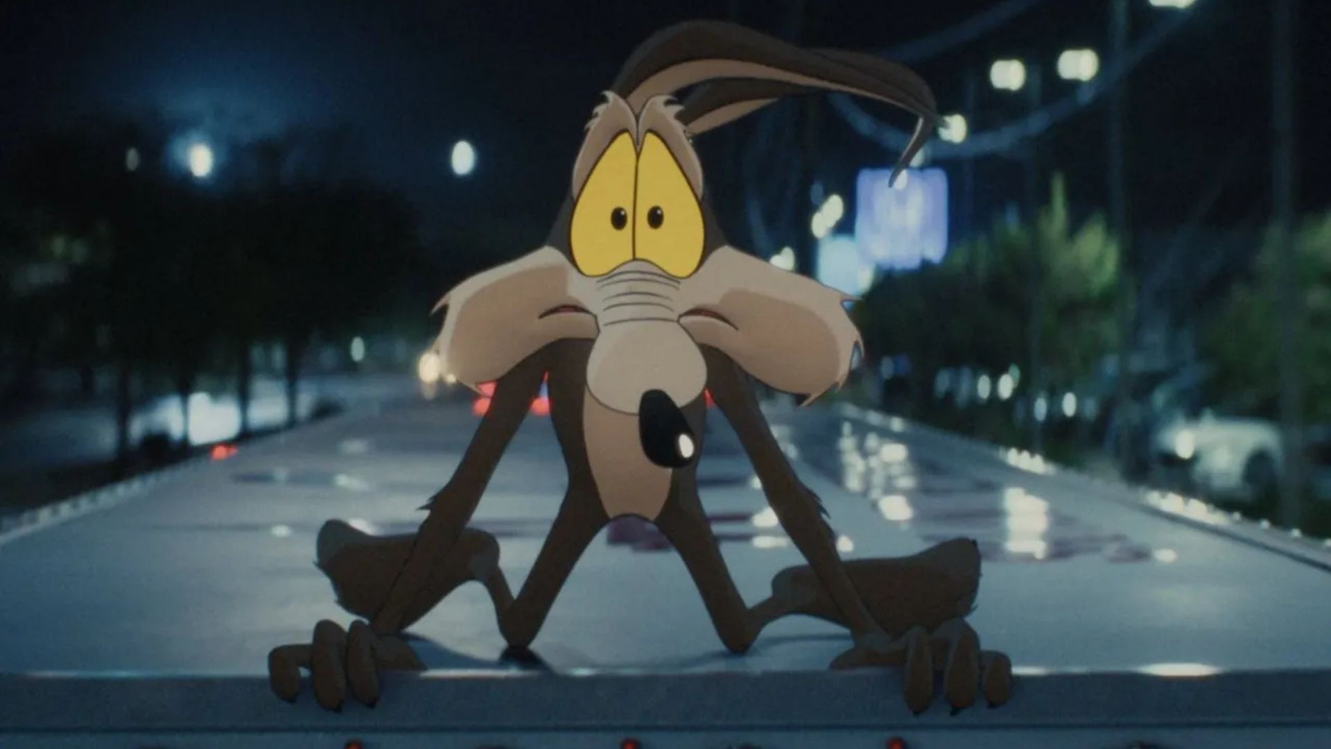 Coyote crouches on the end of the road looking forward in fear