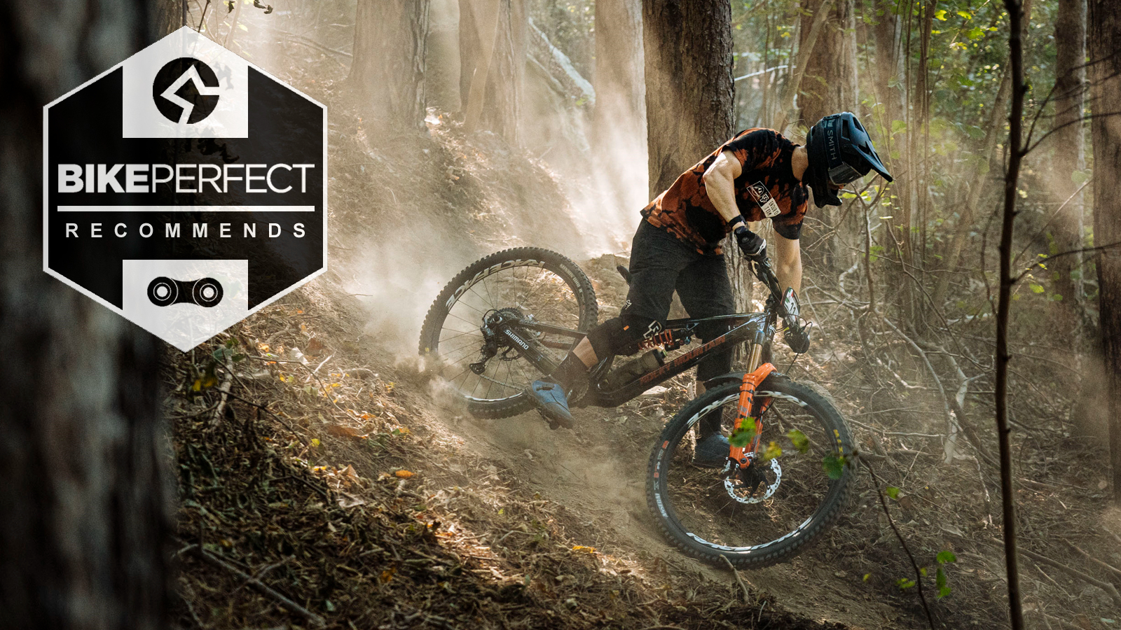 Best enduro mountain bike BikePerfect