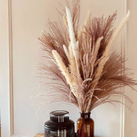 Pampered Pampas Natural Dried Pampas Grass | Was £22.99