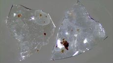 contact lens, sewage