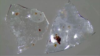 Contact lens fragments recovered from treated sewage sludge.