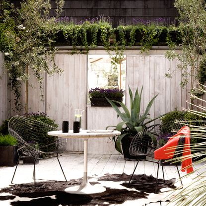 Modern courtyard gardens | Ideal Home