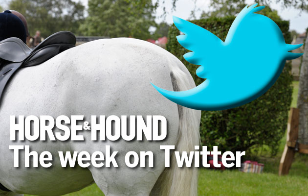 twitterweek21.jpg