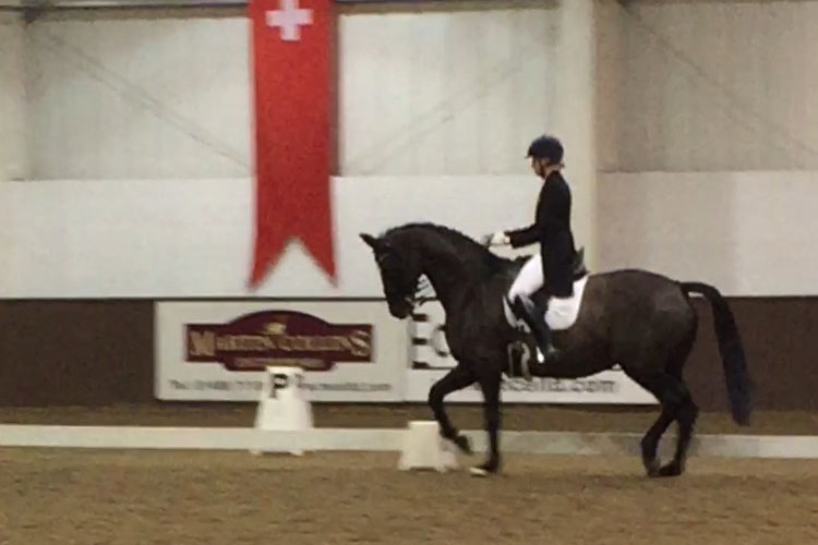 Kaja at Addington