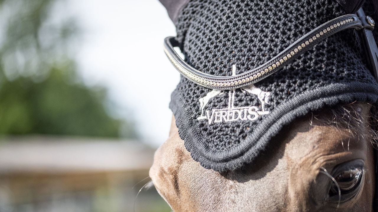 Veredus fly fringe review