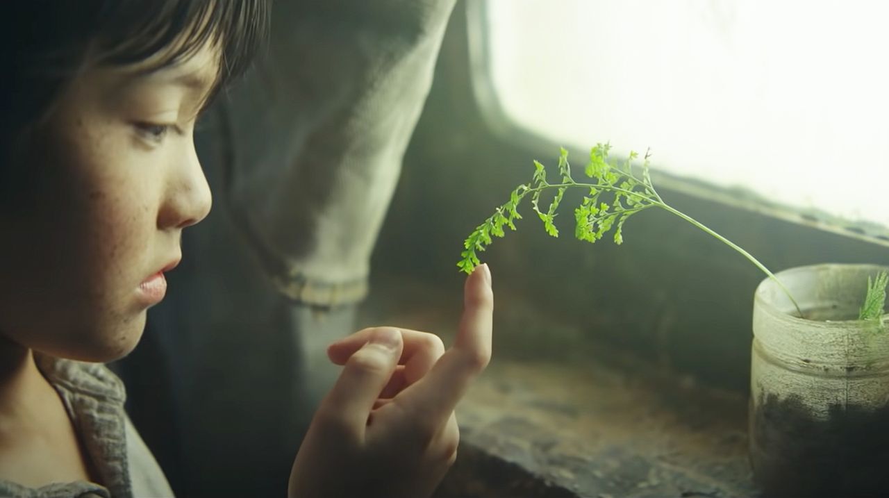 Environmental-collapse is fast replacing post-apocalypse as the standard dystopian setting and that's not a bad thing.