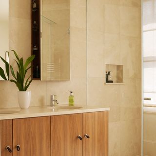 bathroom with marble wall and wooden cupboard