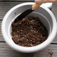 Compost in pot with shovel 