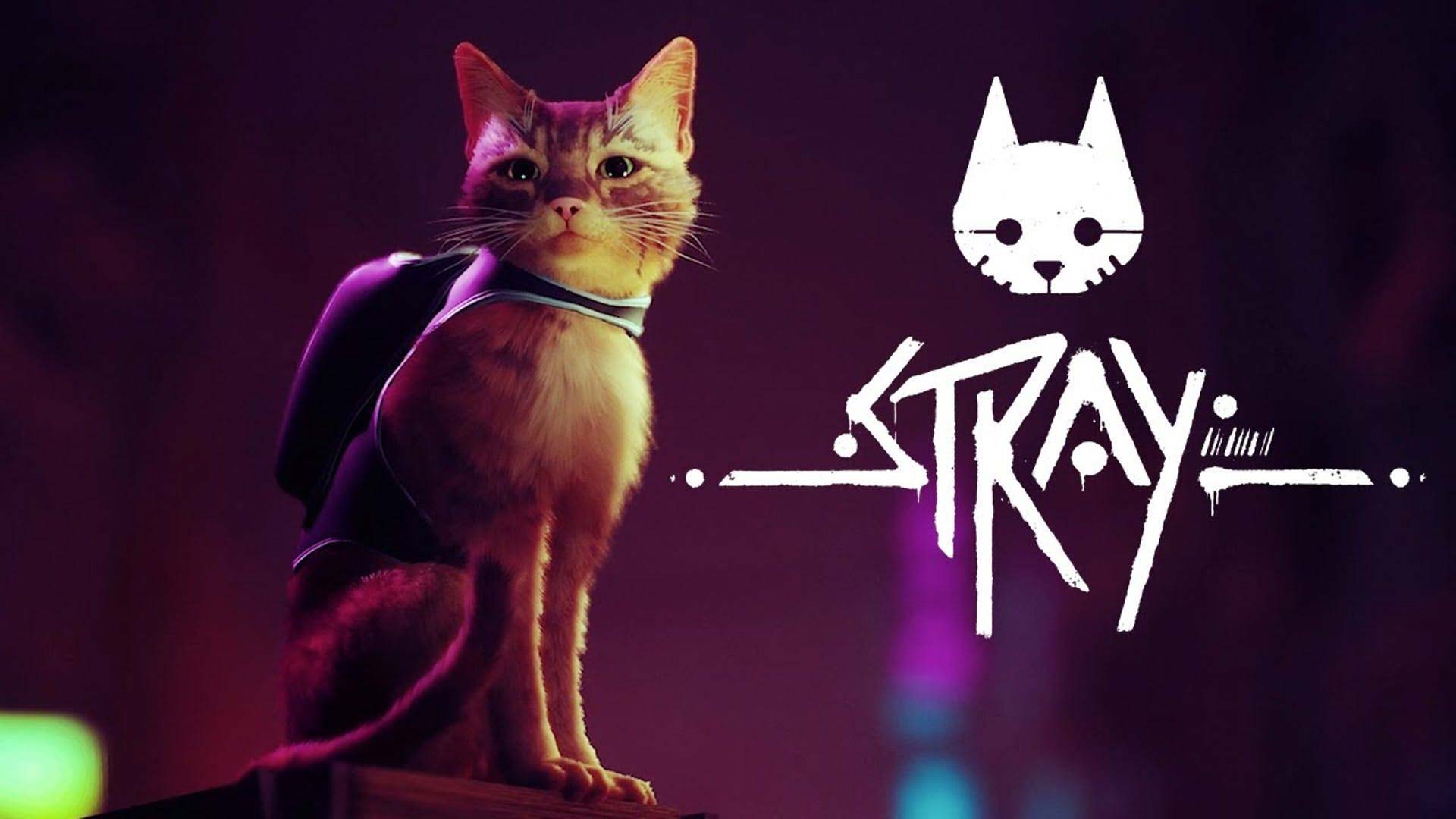 Stray review: A game that lets you live your best cat life