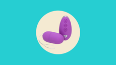 Lovehoney Thrill Seeker 10 Function Remote Control Love Egg Vibrator Review