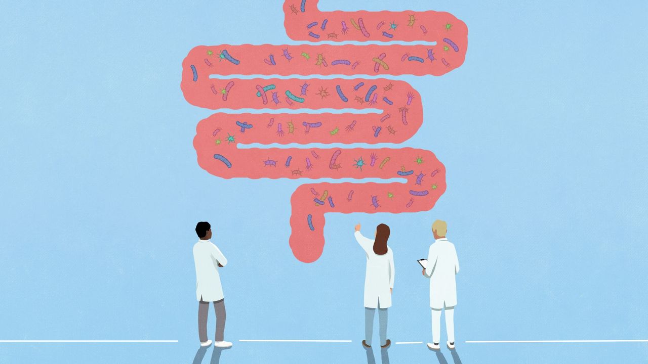 Illustrated scientists looking at large intestine, representing how to improve gut health in simple ways