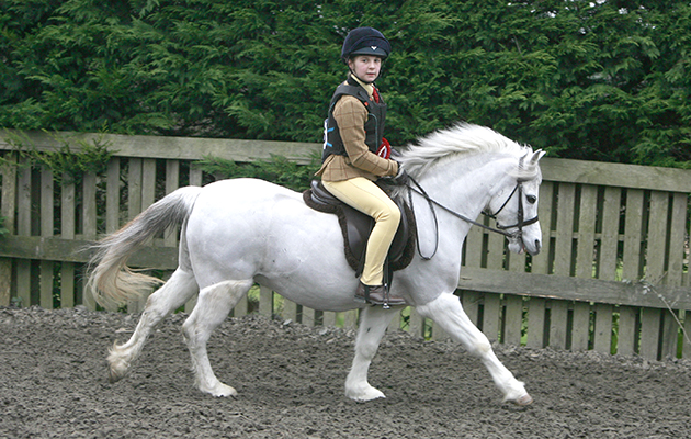105 Vennobos Pearly King Rider Soffia Cynwyl, 11yrs.