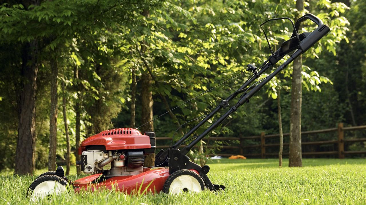 Lawn mower cutting grass in a back yard