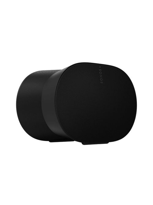 Era 300 Smart Speaker