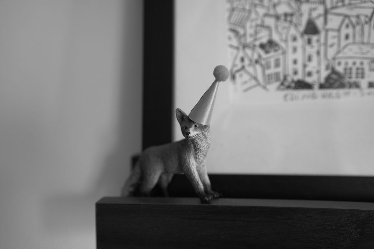 A photo of a fox miniature taken on a Sigma BF