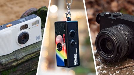 A selection of retro cameras