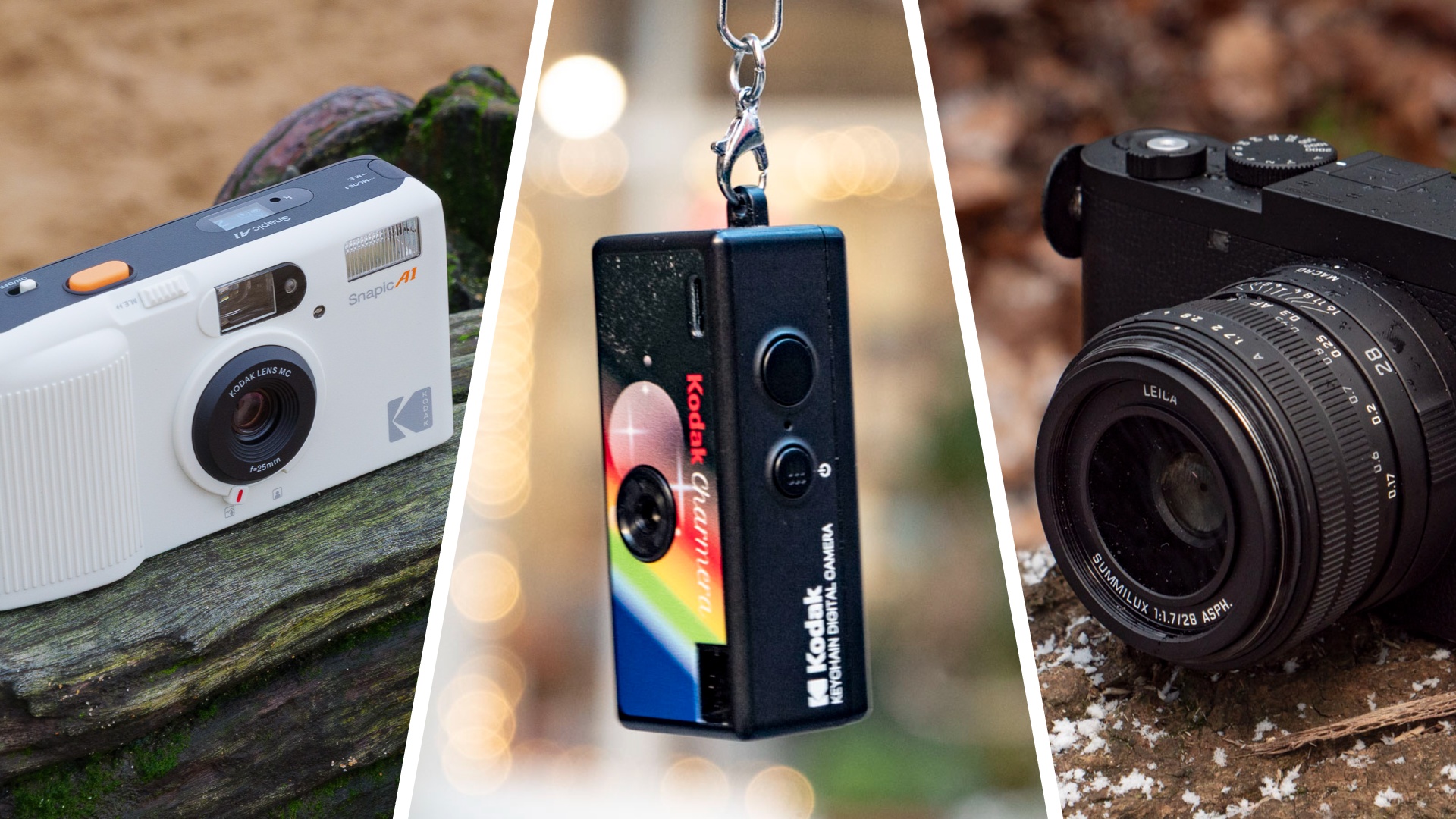 A selection of retro cameras