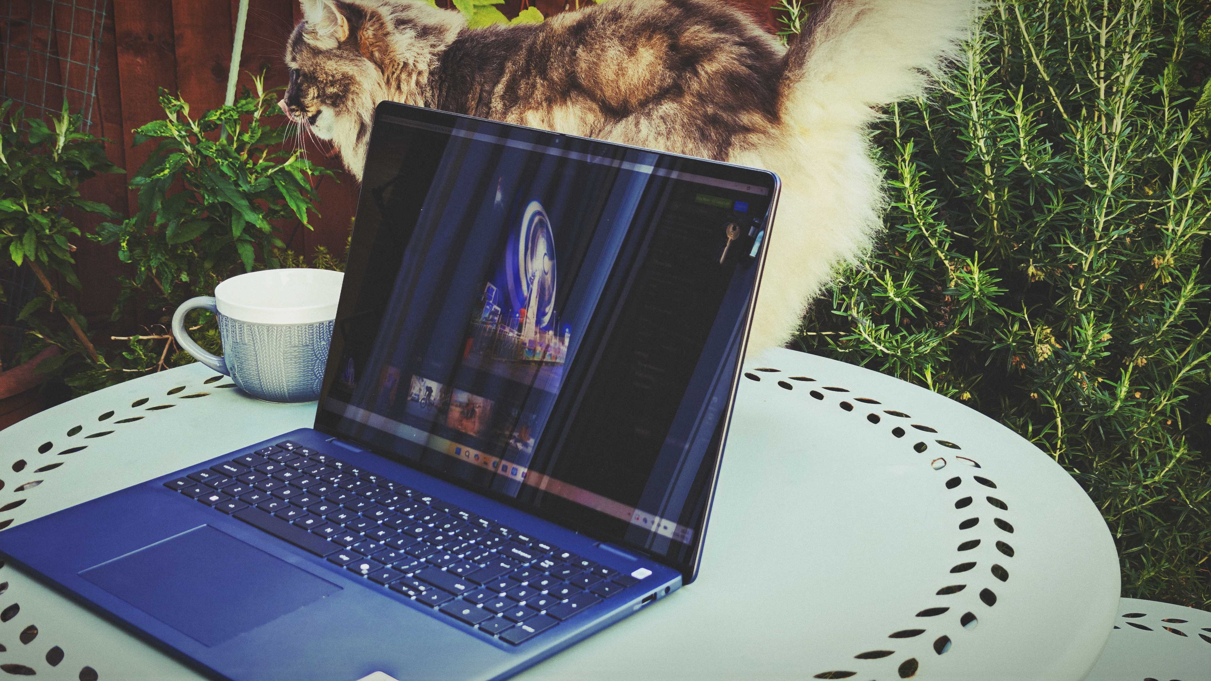 A Dell 16 Plus 2-in-1 laptop on a blue garden table