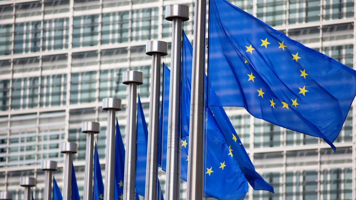 A row of EU flags