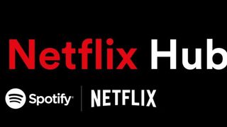 Spotify Netflix hub