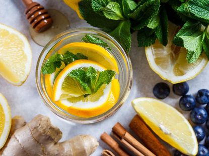 Cup Of Lemon Slices And Mint Surrounded By Plants And Herbs