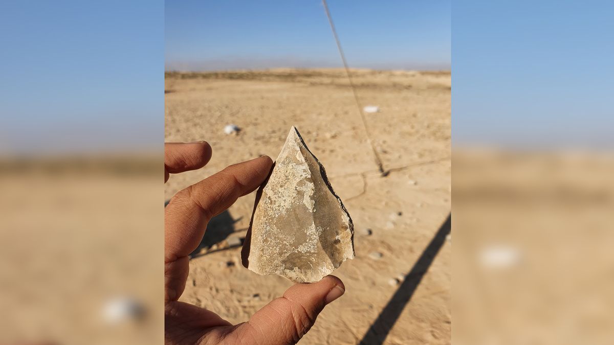 One of the distinctive stone tools, made with an ancient flint-knapping technology known as Nubian Levallois, found at the archaeological site in the Negev Desert.