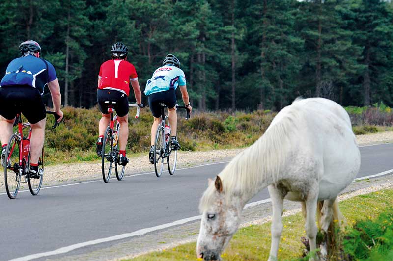 cyclo sportive, new forest challenge, cycling weekly