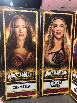 Carmella and Chelsea Green in side-by-side posters in the WWE Superstore.