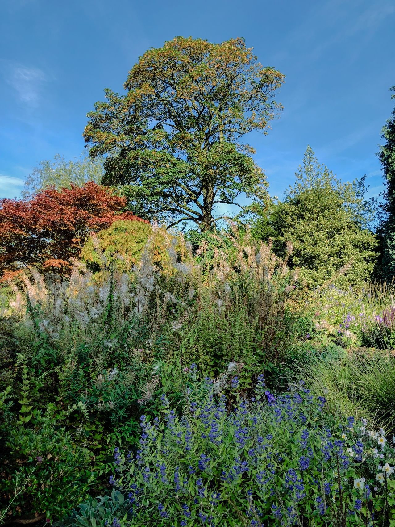 The Tawny's 70-acres park