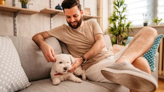 Man and small white dog on sofa together — tips for training your dog