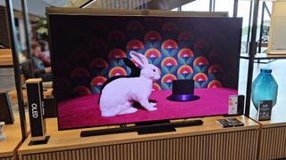 Samsung S95D OLED TV with rabbit and hat on screen