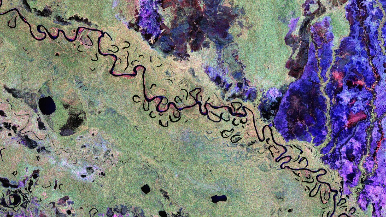 False-color satellite images of Earth taken by ESA's Biomass satellite