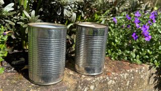 Tins cans in the garden