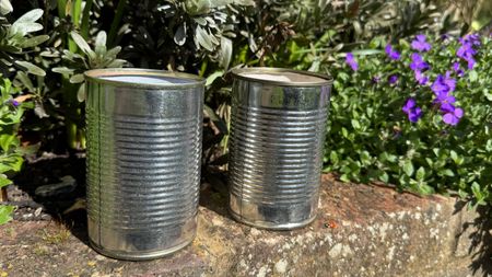 Tins cans in the garden