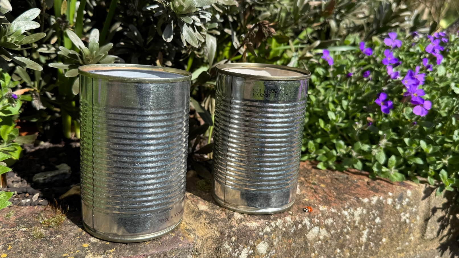 Tins cans in the garden