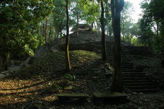 Mayan Temple XX