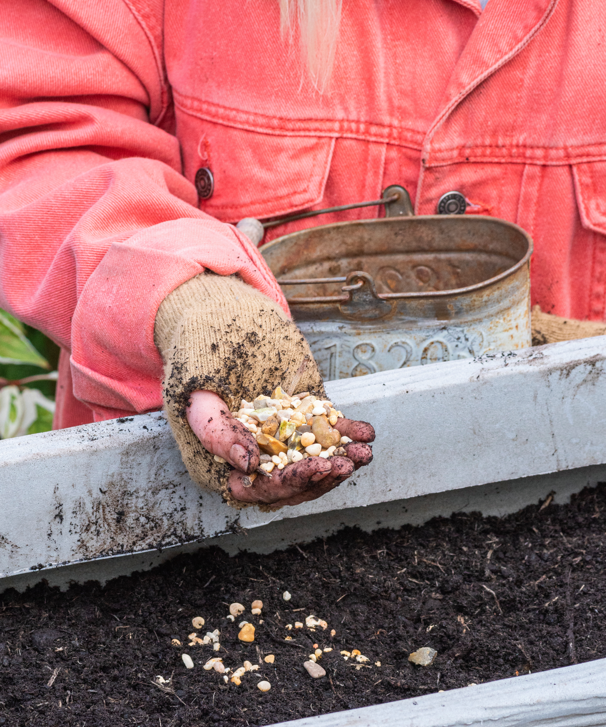Planting Containers with Winter / Spring Bulbs in fall.