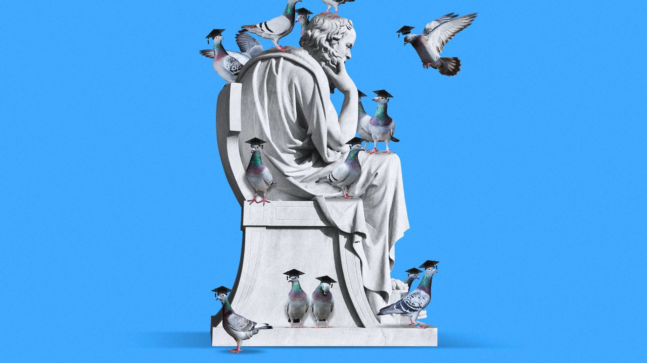 Illustration of pigeons wearing graduation mortar boards crowding a statue of Socrates