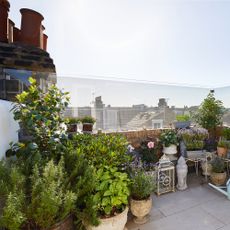 Balcony with arrangement of plants in pots