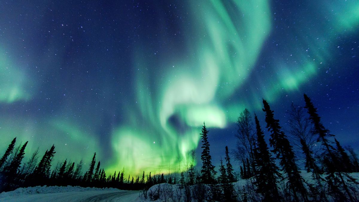 Aurora Borealis close to Yellowknife in the Northwest Territories in Canada. Credit: Vincent Demers Photography, Getty Images