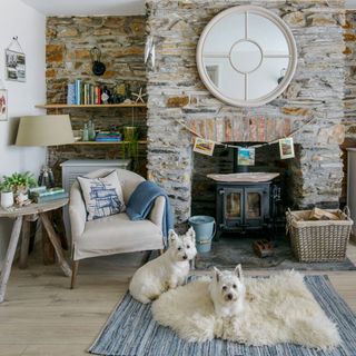 living room with dogs and fireplace